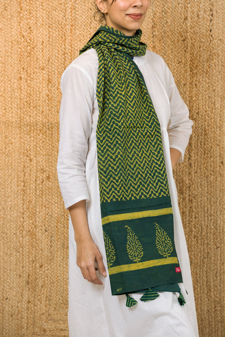 Asavri Stole - stole - 02744/S/AS