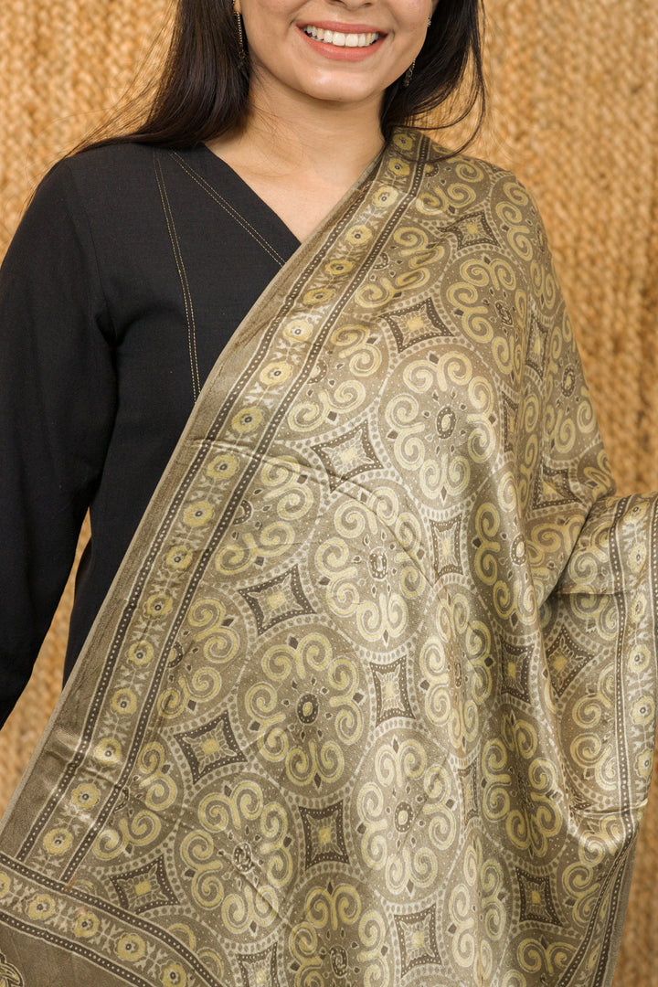 Ajrakh Stole - stole - 03137/S/AJ
